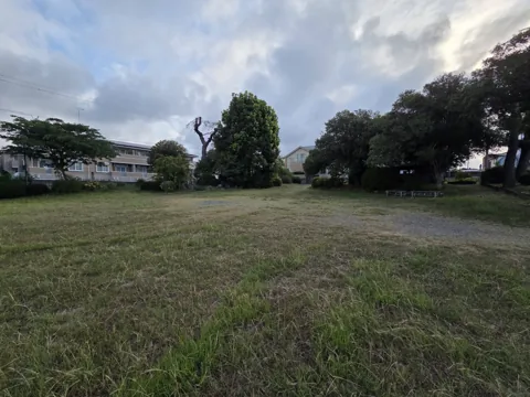 城之崎公園：樹木に囲まれた芝生広場