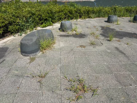 磐田ららシティ西ポケットパーク：植え込みに囲まれた舗装広場と石製の腰掛け