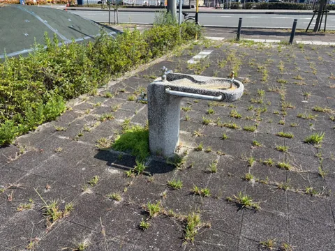 磐田ららシティ西ポケットパーク：舗装広場に設置された水飲み場