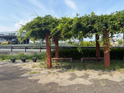 磐田ららシティ東ポケットパーク：つる植物に覆われた藤棚とベンチ