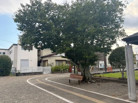 豊田池田上新田公園：園路沿いの木陰に設けられたベンチ