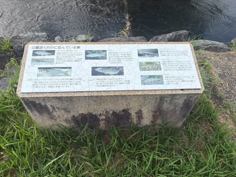 豊田池田の渡し公園：園内の水辺に生息する魚を紹介する案内板