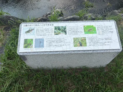 豊田池田の渡し公園：園内で見られる生き物を紹介する案内板