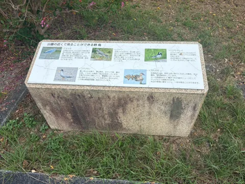 豊田池田の渡し公園：園内で見られる鳥を紹介する案内板