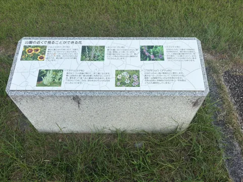 豊田池田の渡し公園：園内で見られる花を紹介する案内板