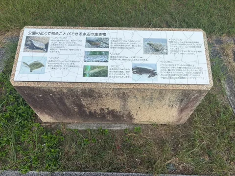 豊田池田の渡し公園：天竜川に生息する魚を紹介する案内板