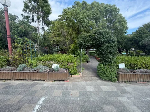 豊田香りの公園：ハーブ園へ入る緑のアーチ