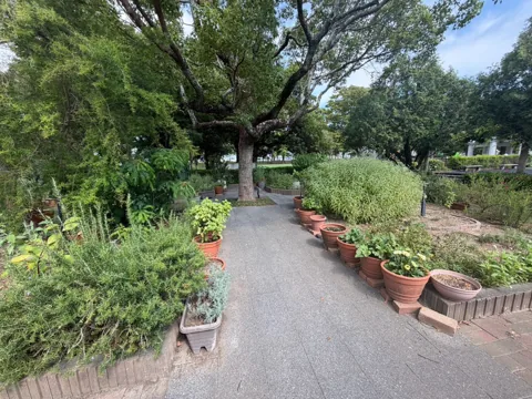 豊田香りの公園：ハーブの鉢植えが並ぶ園路