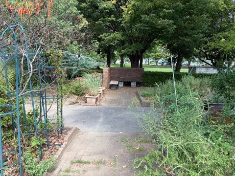 豊田香りの公園：香りの植物に囲まれたハーブ園の小径