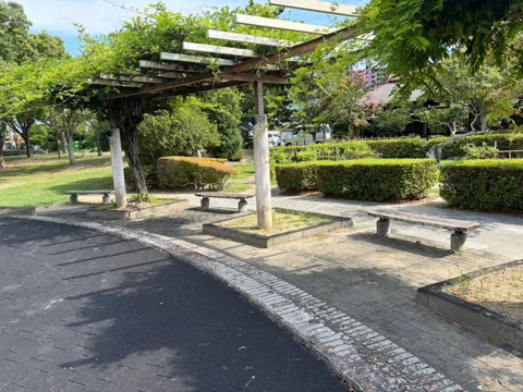 豊田香りの公園：藤棚の下に並ぶベンチ