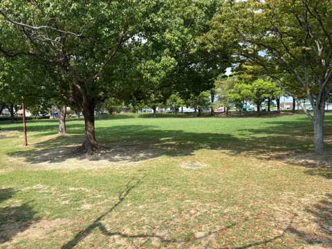 豊田香りの公園：木々に囲まれた広い芝生広場