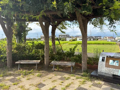 豊田上新屋ポケットパーク：木々と藤棚の下に設けられた休憩ベンチ