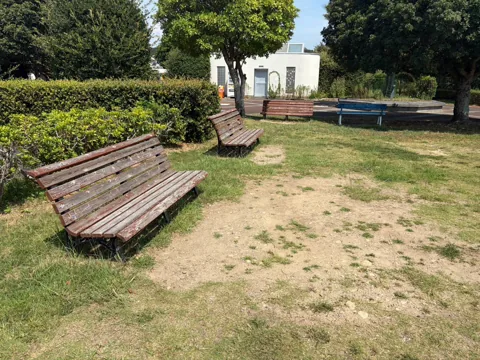 豊田加茂公園：広場沿いに並ぶ木製ベンチ