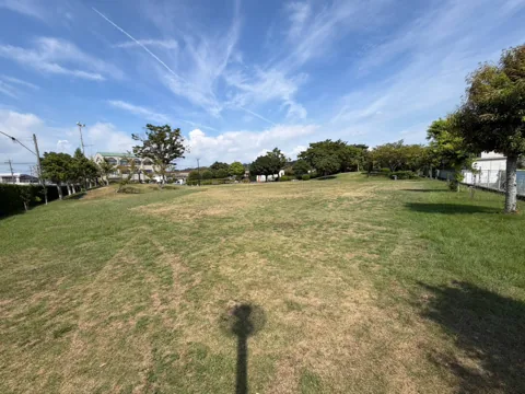 豊田加茂公園：樹木に囲まれた芝生広場