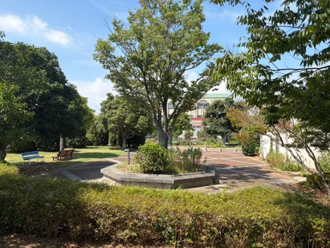 豊田加茂公園：池と円形の植栽帯がある園内風景