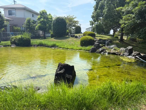 豊田加茂公園：植栽と景石に囲まれた池