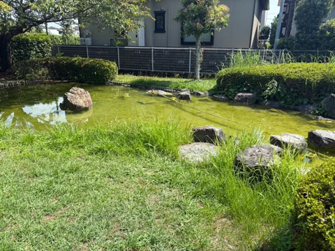豊田加茂公園：芝生側から見た池と景石