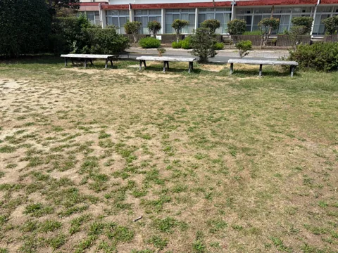 豊田加茂公園：芝生広場と木製ベンチ