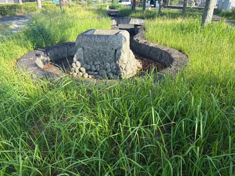 豊田加茂ポケットパーク：植栽の中に設けられた円形の石造設備