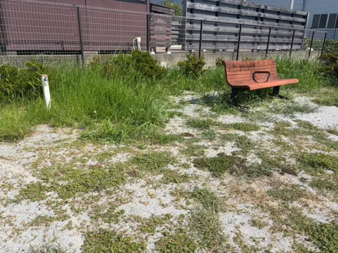 豊田高見丘北公園：園内の木製ベンチと周囲の草地