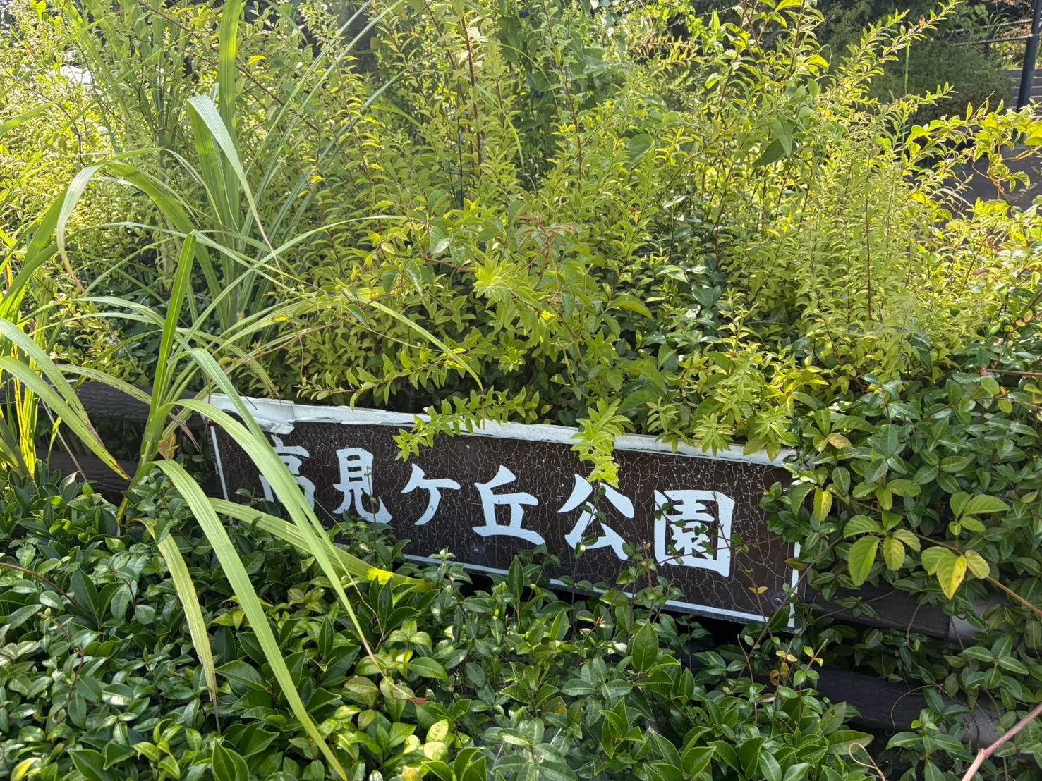 豊田高見丘公園：植込みの中にある園名板「高見ヶ丘公園」