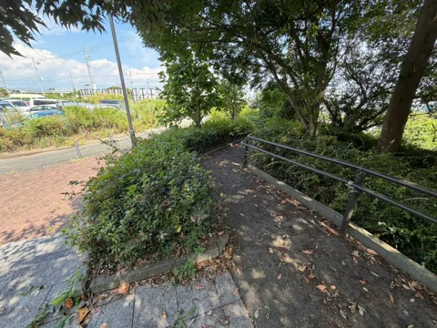 豊田高見丘公園：樹木と植込みに沿う園路と手すり