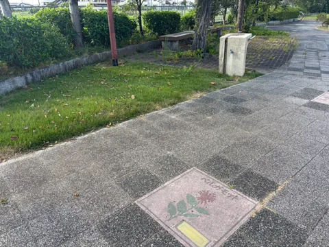 豊田立野ポケットパーク：植栽と水飲み場に沿って続く舗装園路