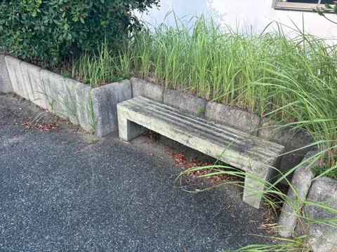 豊田第１緑地：植栽沿いに設けられたコンクリートベンチ