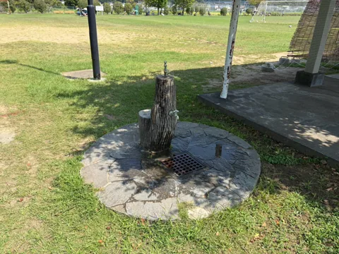 豊田富里農村公園：屋根付き休憩所脇の水飲み場・手洗い