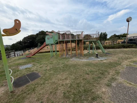 豊田原新田公園：木製アスレチック遊具とブランコ