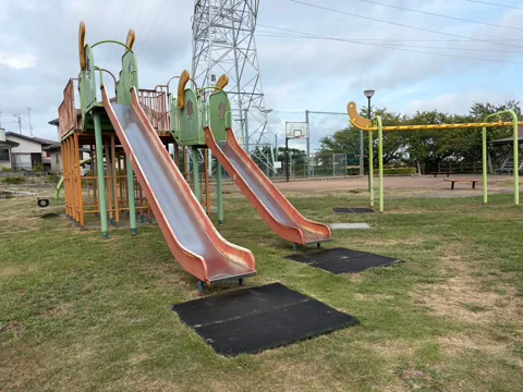 豊田原新田公園：2本のすべり台とブランコがある芝生の遊具広場