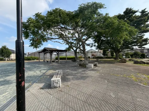 豊田東原梅ノ木公園：大きな木とあずまやがある園内広場