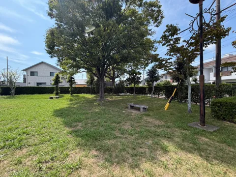 豊田本郷公園：大きな木が木陰をつくる芝生広場