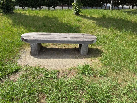 豊田本郷公園：芝生広場の低いベンチ