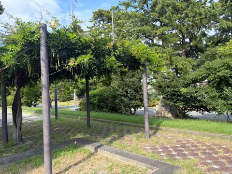 豊田森下公園：園内に設けられた藤棚