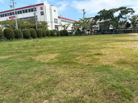 豊田森本農村公園：周辺施設側に広がる芝生