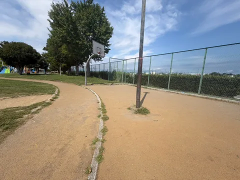 豊田ラブリバー公園：バスケットゴールと園内を巡る園路