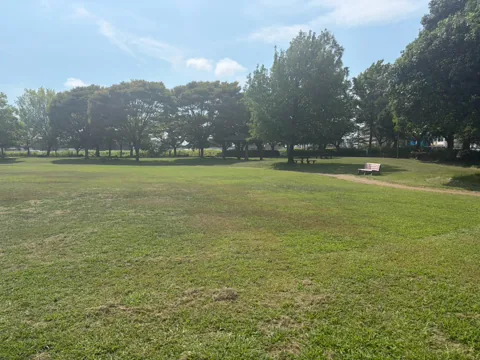 豊田ラブリバー公園：木々に囲まれた広い芝生広場