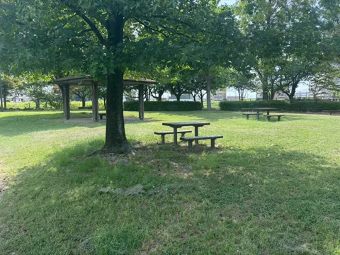 豊田ラブリバー公園：木陰にピクニックテーブルと四阿が並ぶ休憩エリア