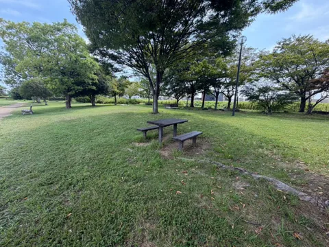 豊田ラブリバー公園：木陰のピクニックテーブルとゆったりした芝生