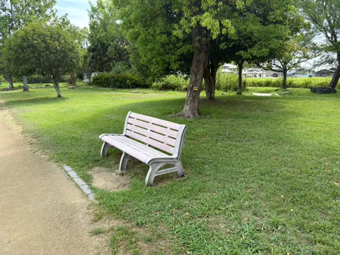 豊田ラブリバー公園：園路沿いの背もたれ付きベンチ