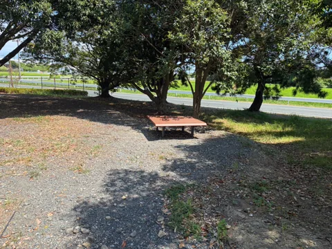 クリーンセンター公園：木陰に設けられた休憩ベンチ