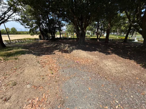 クリーンセンター公園：大きな木々がつくる涼しい木陰の空間