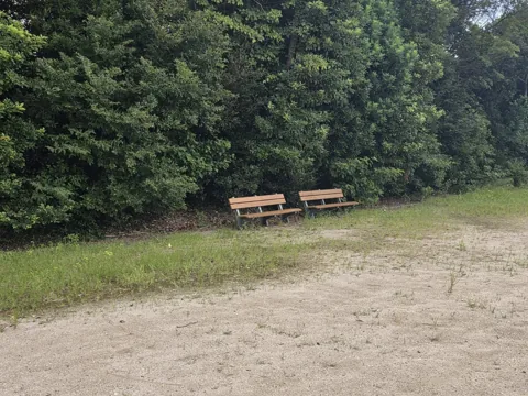 浜部農村公園：樹木のそばに並ぶ背もたれ付きベンチ