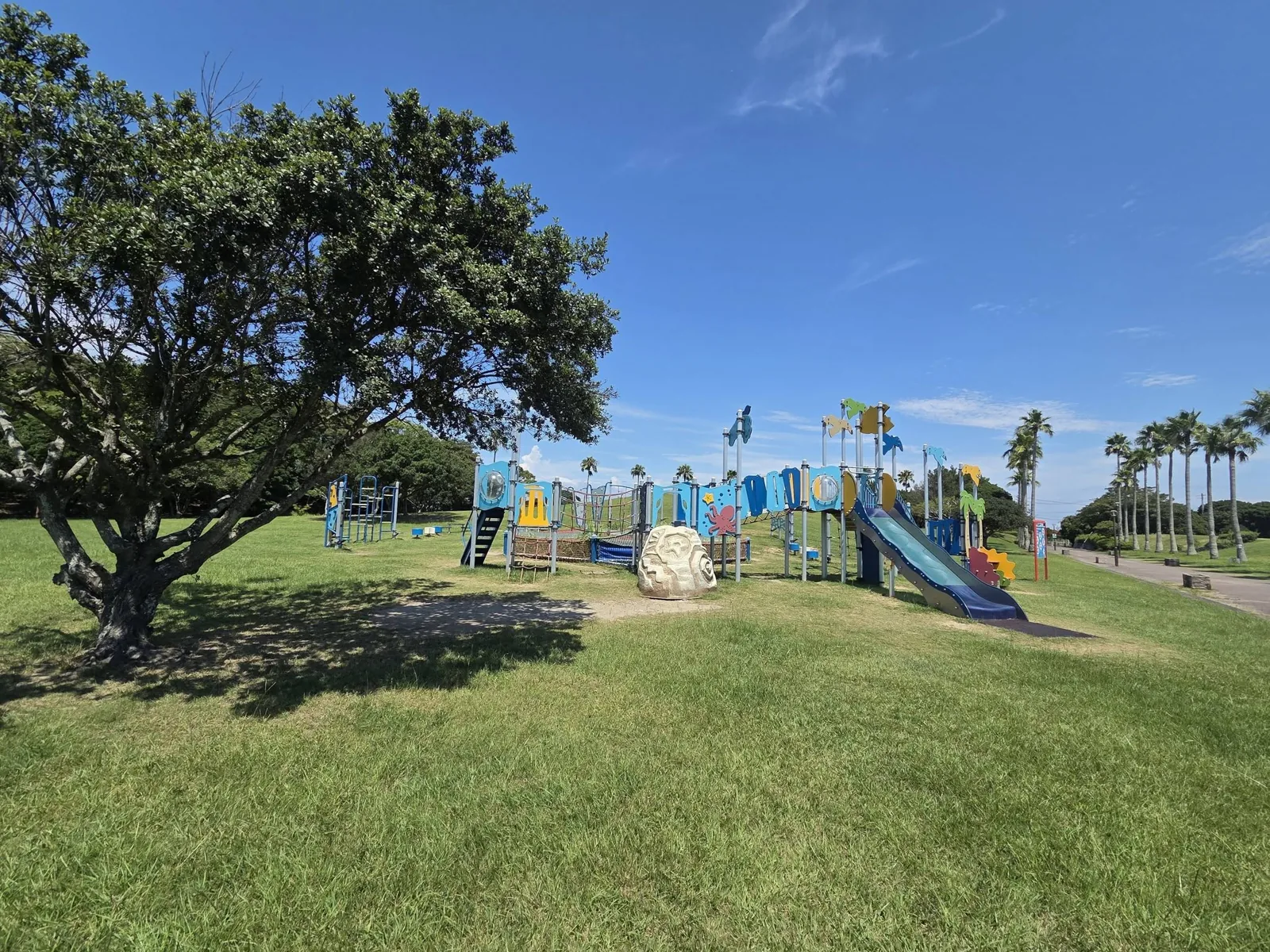 竜洋海洋公園：遊具広場の全景。ヤシ並木の先に複合遊具が見える