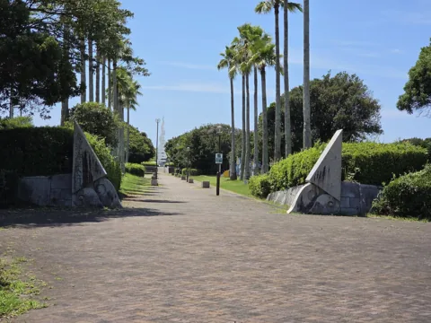 竜洋海洋公園：ヤシ並木が続く園路
