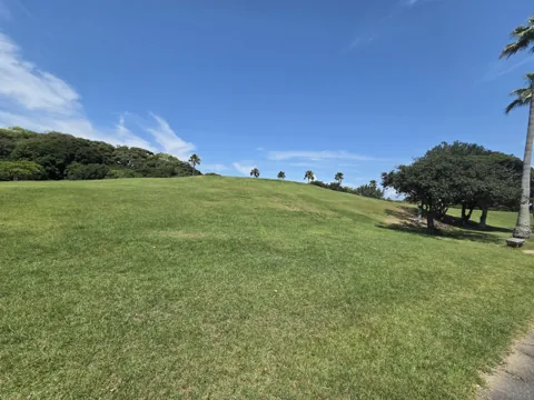竜洋海洋公園：なだらかな芝生広場