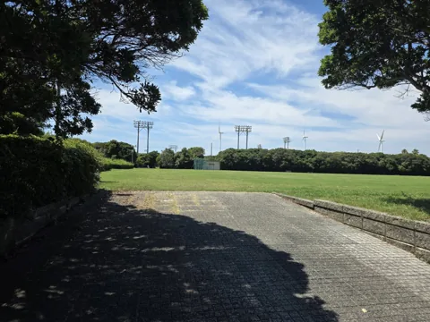 竜洋海洋公園：木陰から見る芝生広場
