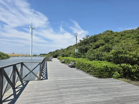 竜洋海洋公園：風車へ向かう水辺のデッキ