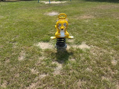 竜洋十束公園：トラをかたどったスプリング遊具